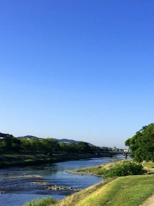 IMG_2890