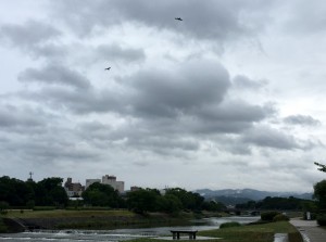IMG_2907