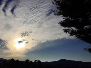 IMG_3304