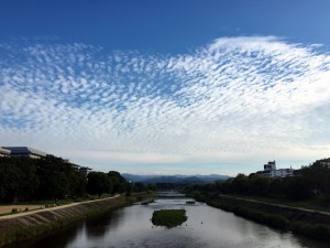 IMG_3310
