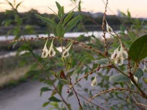 img_3908