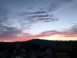 img_3929